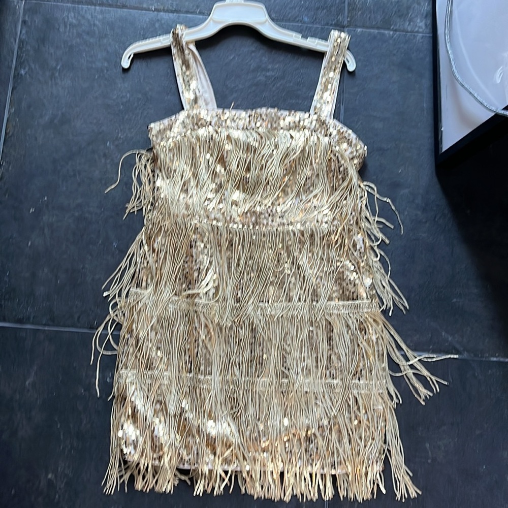 Lulus Gold Fringe Flapper Gatsby Sequin Dress Medium - Picture 6 of 12